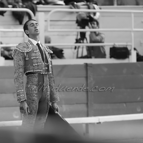 Img 4947 jpg20190422 arles