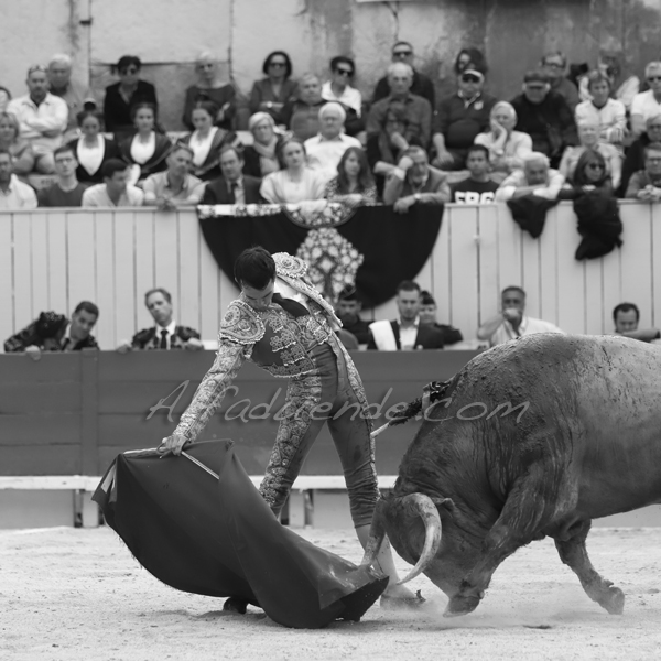 Img 5289 jpg20190422 arles