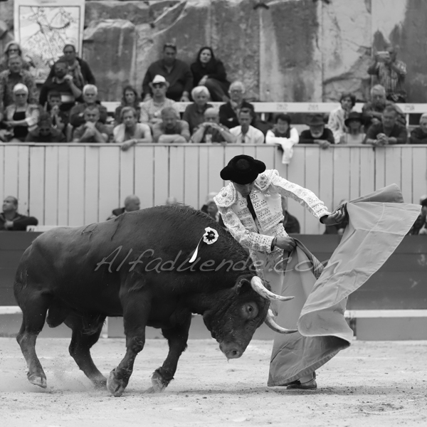 Img 5373 jpg20190422 arles