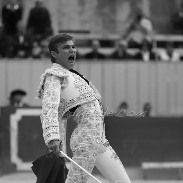 Img 5481 jpg20190422 arles