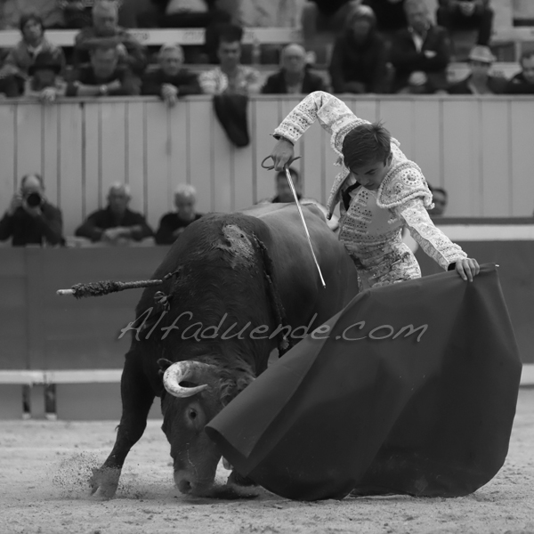 Img 5521 jpg20190422 arles