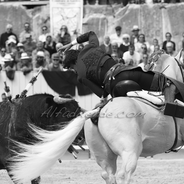 Img 3167 jpg20190422 rejon arles