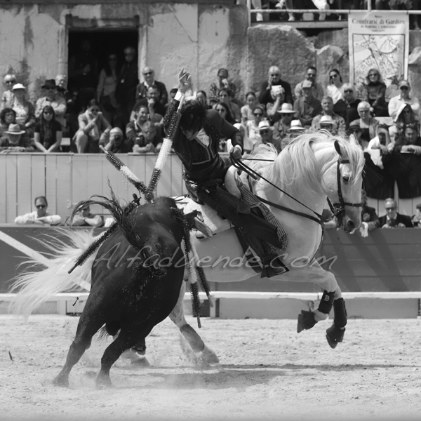 Img 3552 jpg20190422 rejon arles