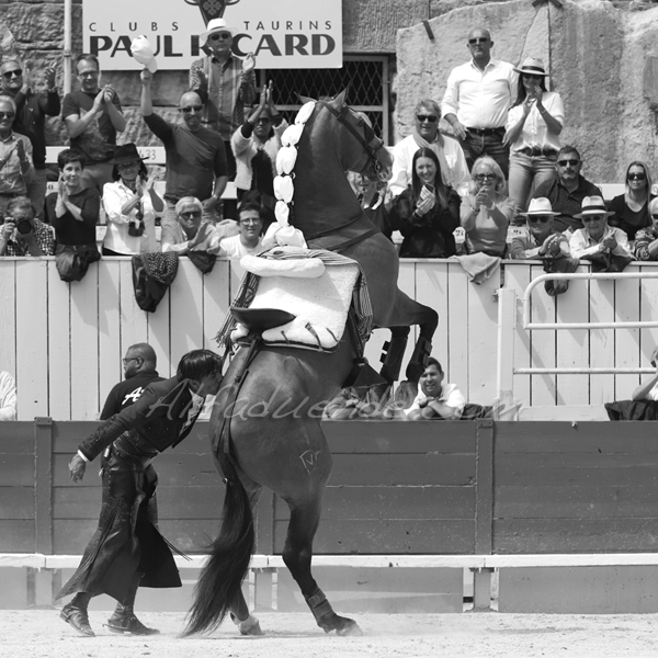 Img 3662 jpg20190422 rejon arles