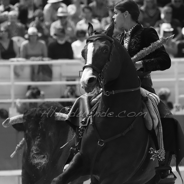 Img 3759 jpg20190422 rejon arles