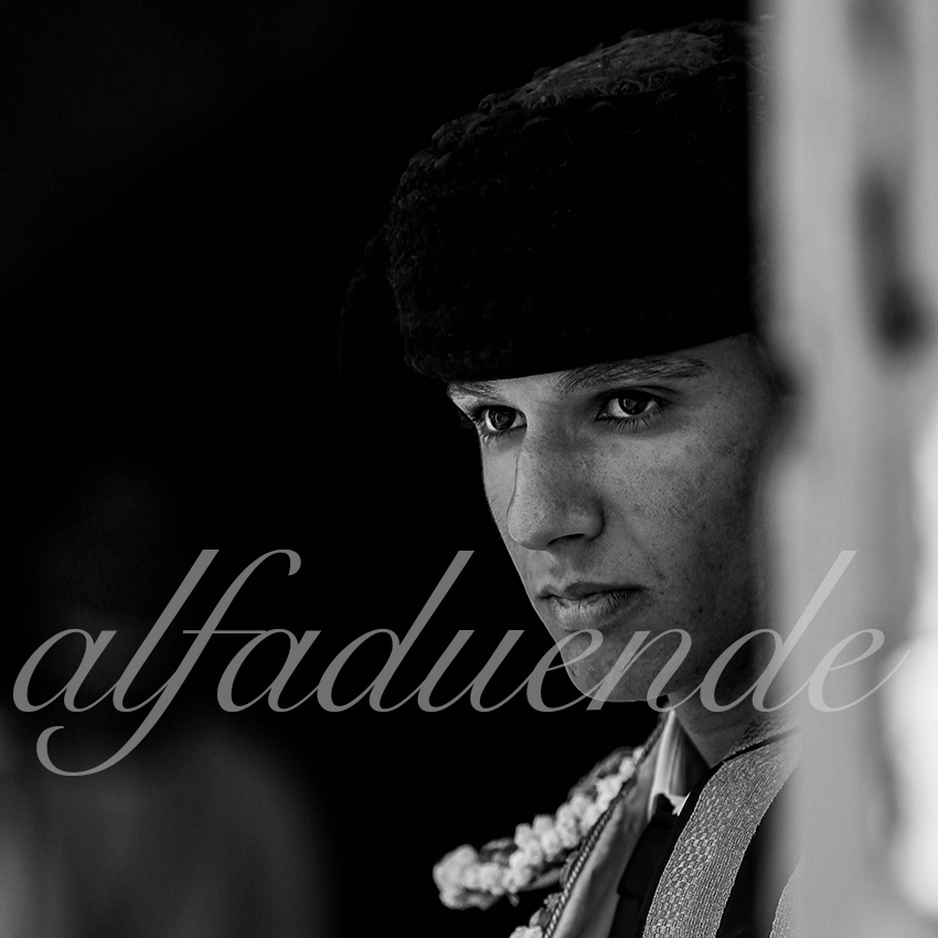 Arles 20200913 nov 003