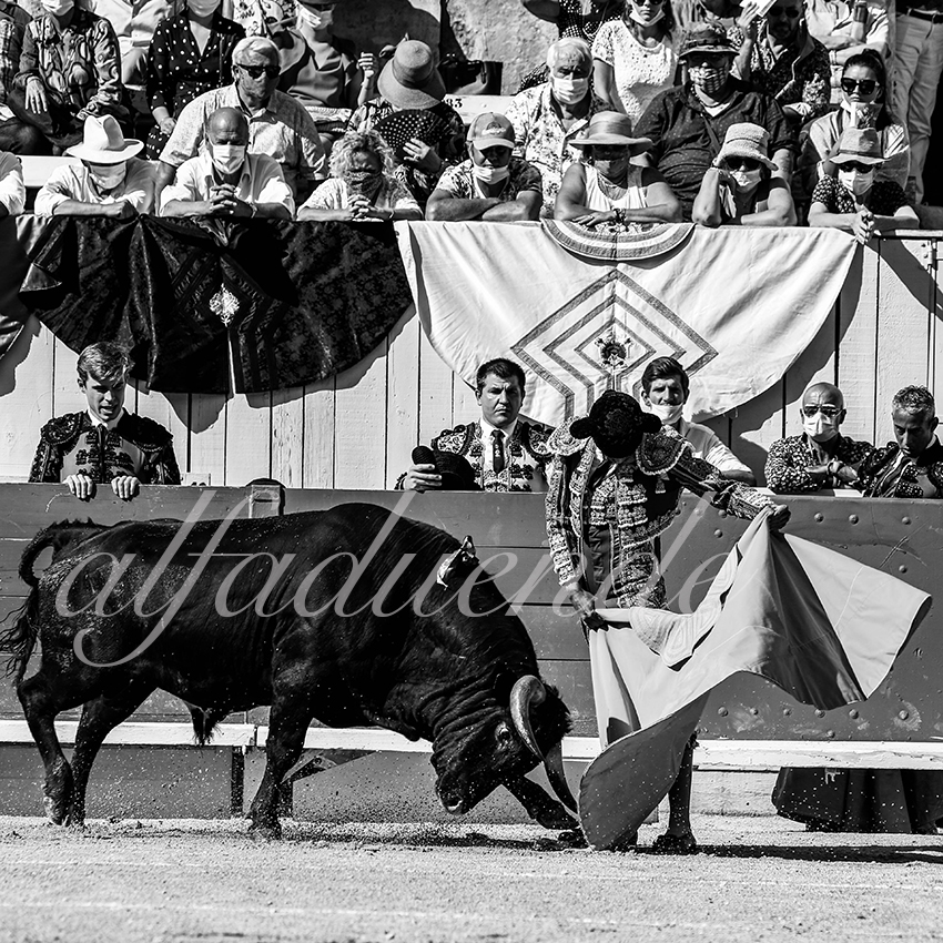 Arles 20200913 nov 004