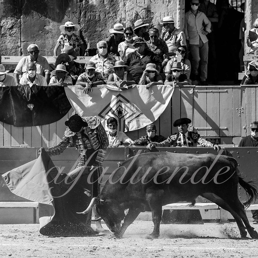 Arles 20200913 nov 005