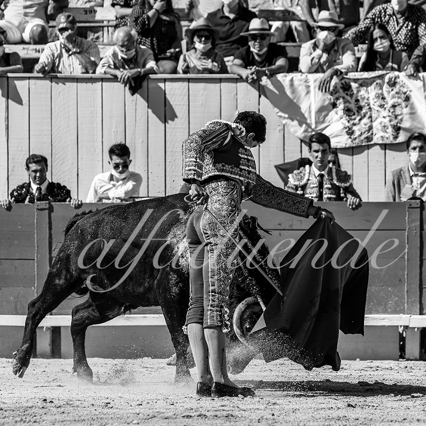 Arles 20200913 nov 006