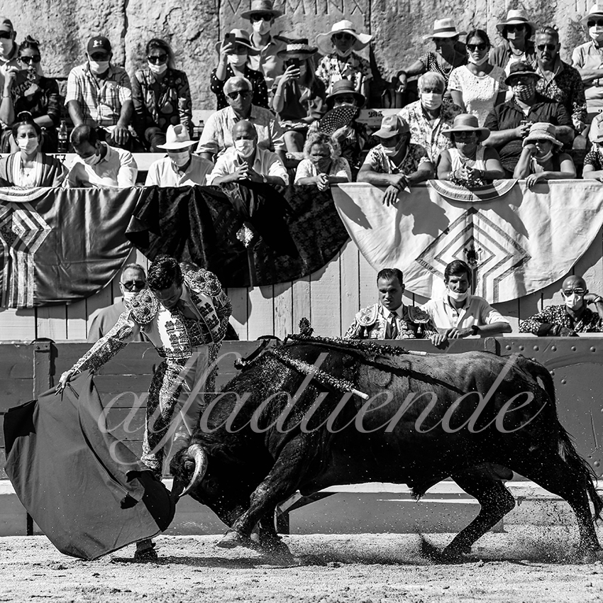 Arles 20200913 nov 008