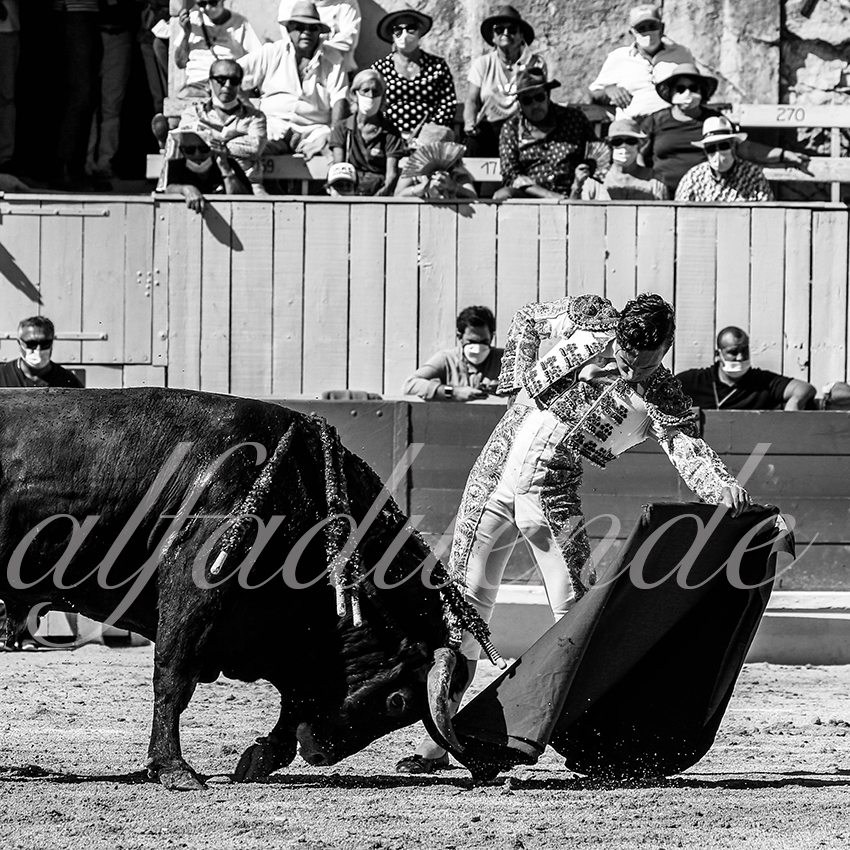 Arles 20200913 nov 009