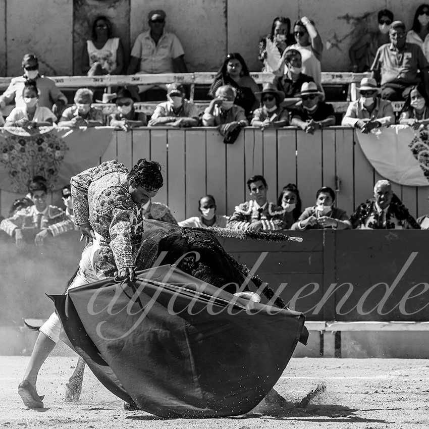 Arles 20200913 nov 010