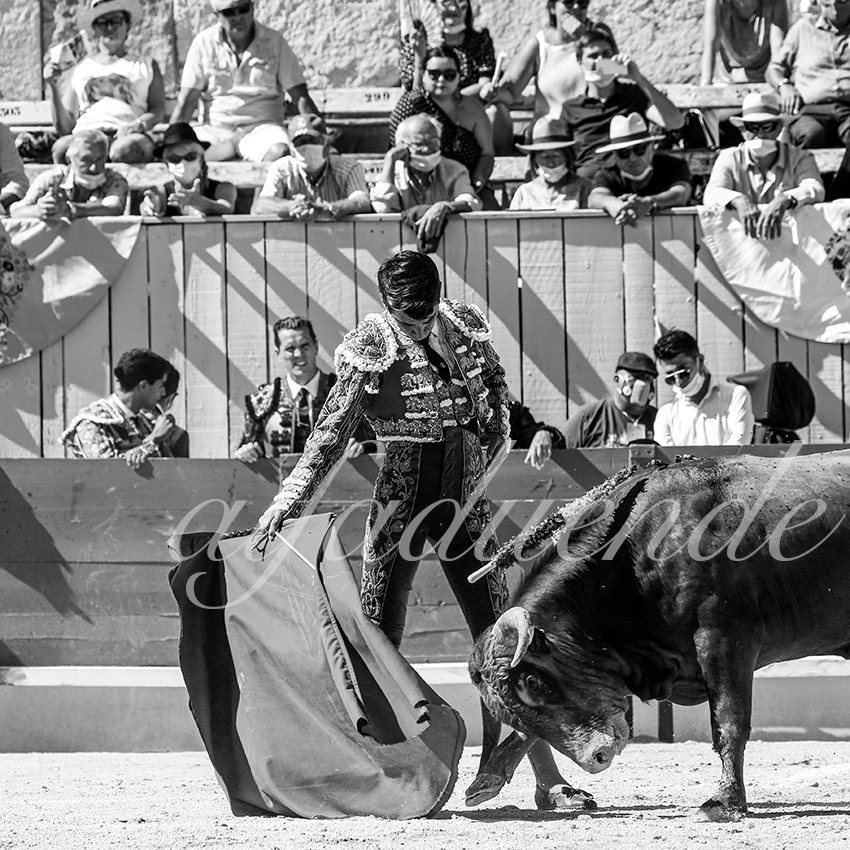 Arles 20200913 nov 011