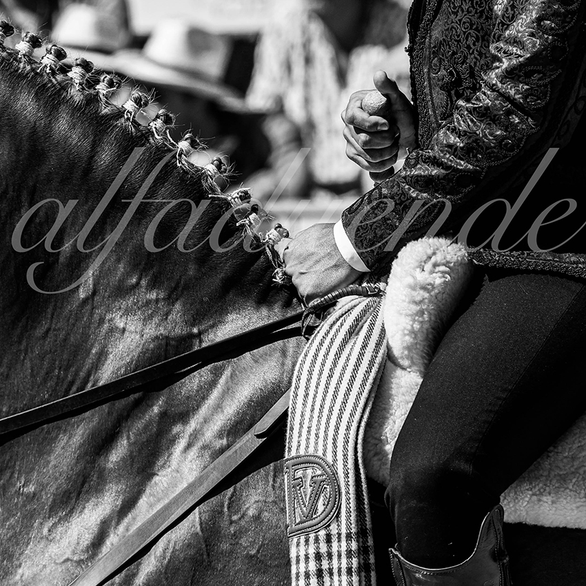 Arles 20210912 alfaduende rejon 002 fd