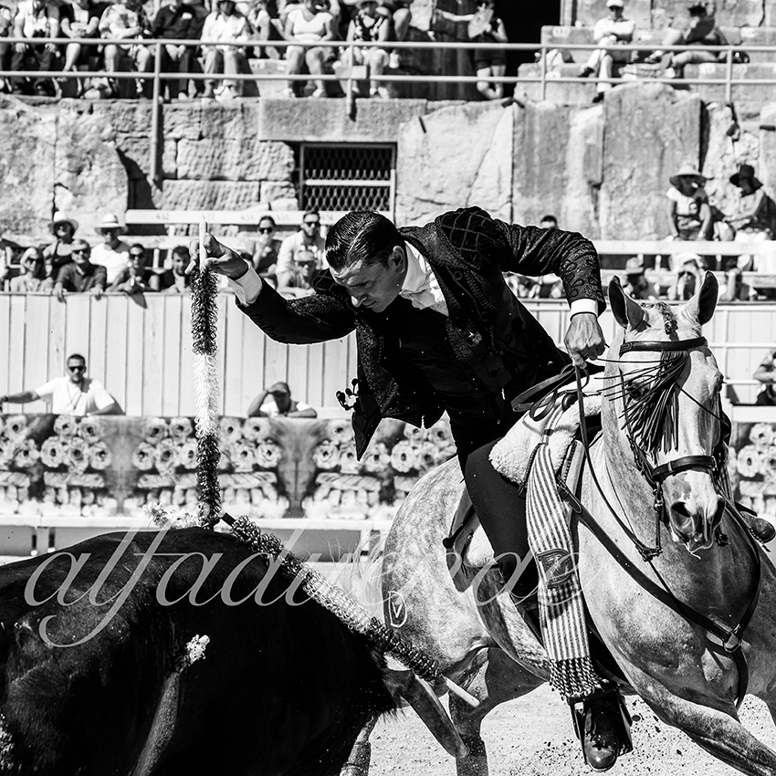 Arles 20210912 alfaduende rejon 003 fd