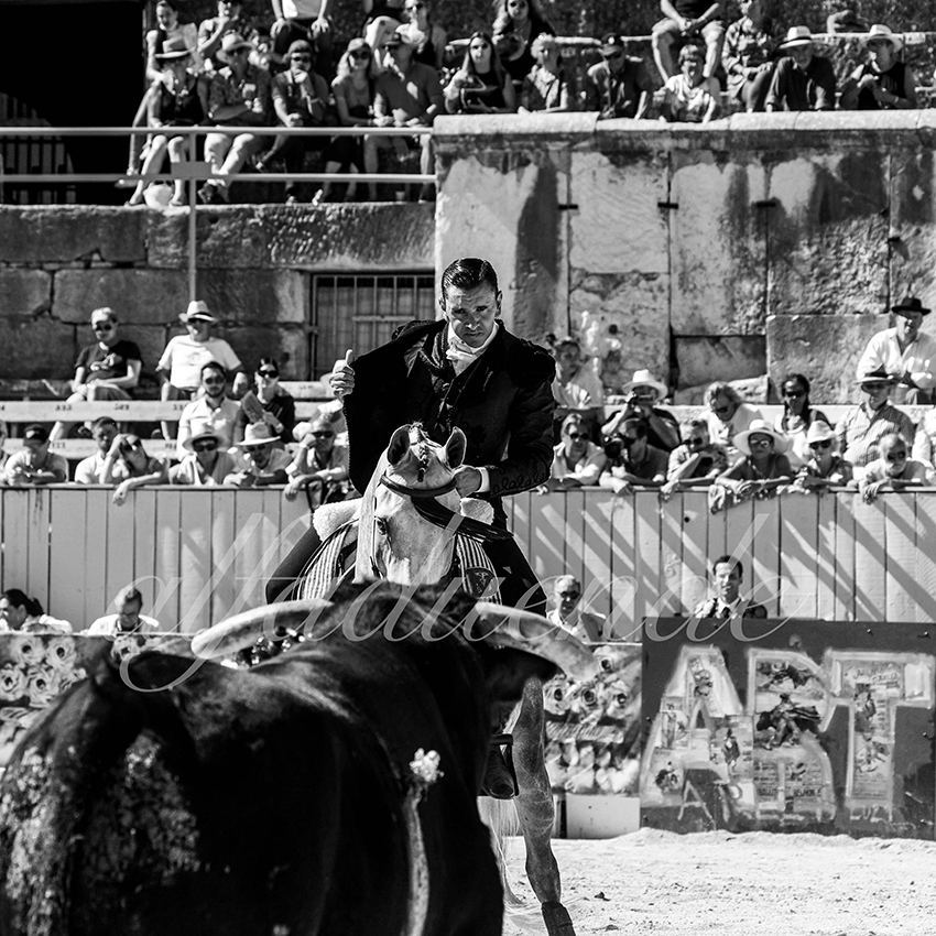 Arles 20210912 alfaduende rejon 004 fd