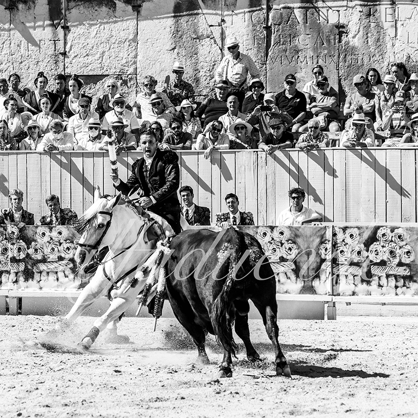 Arles 20210912 alfaduende rejon 005 fd