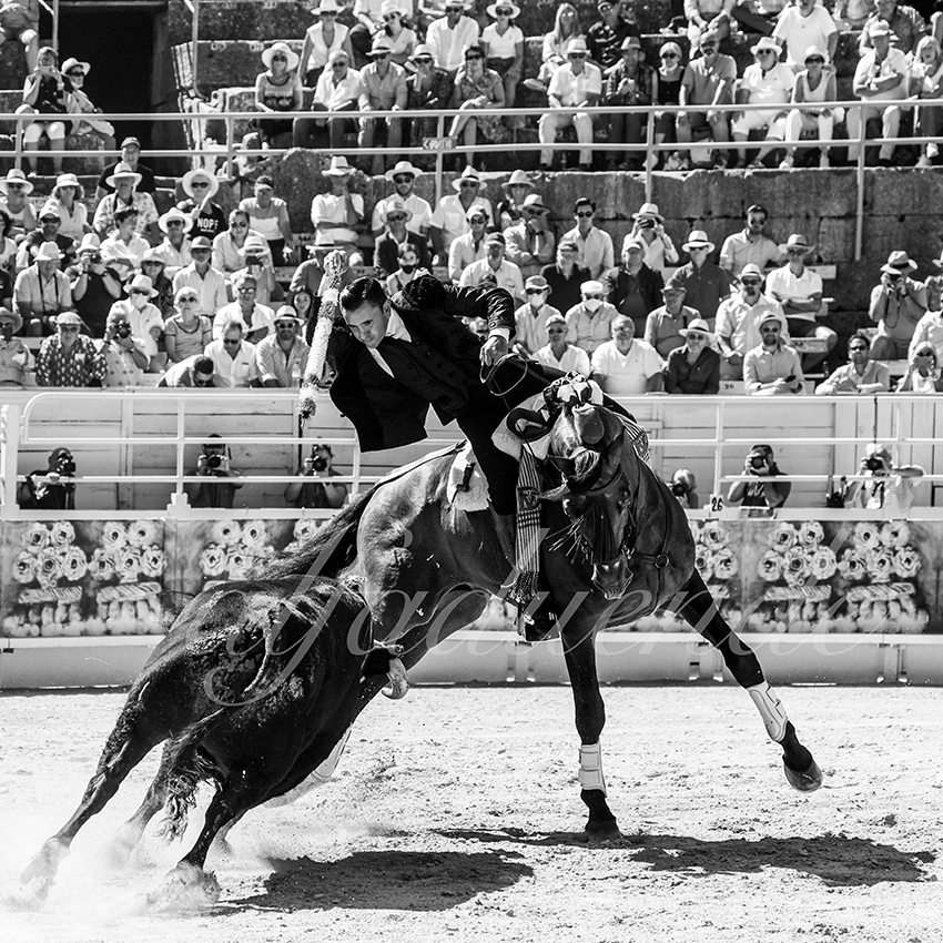 Arles 20210912 alfaduende rejon 006 fd