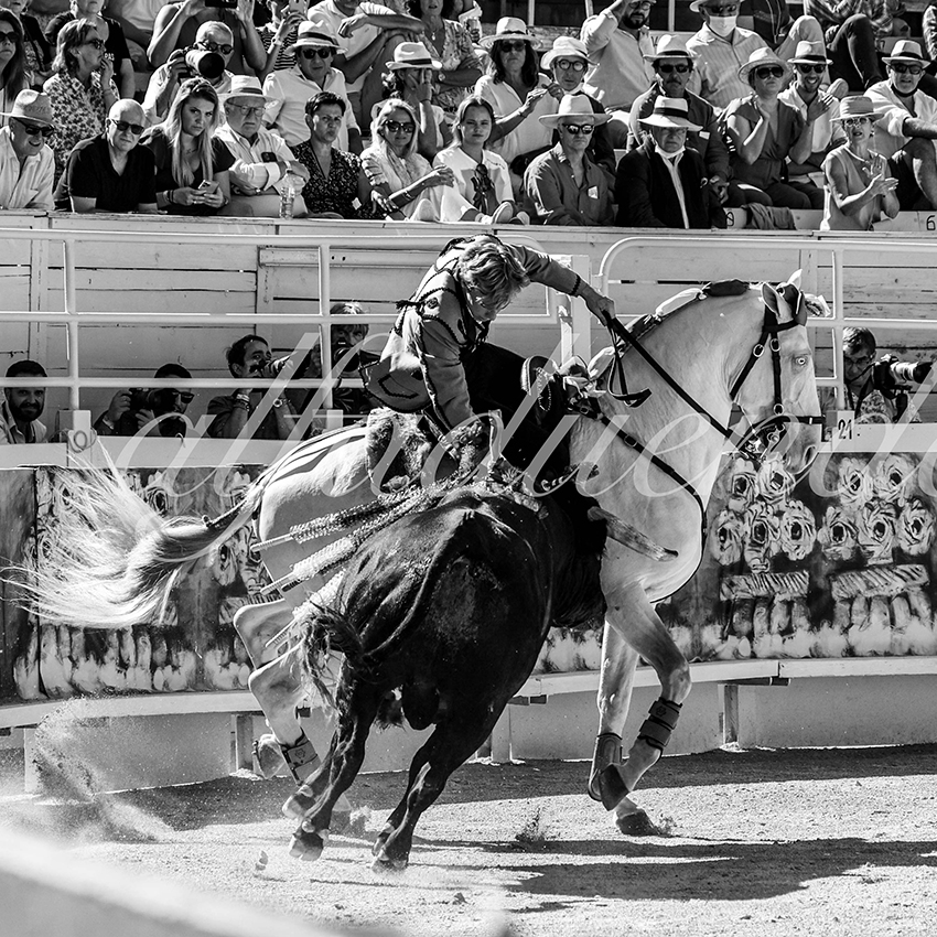 Arles 20210912 alfaduende rejon 011 fd