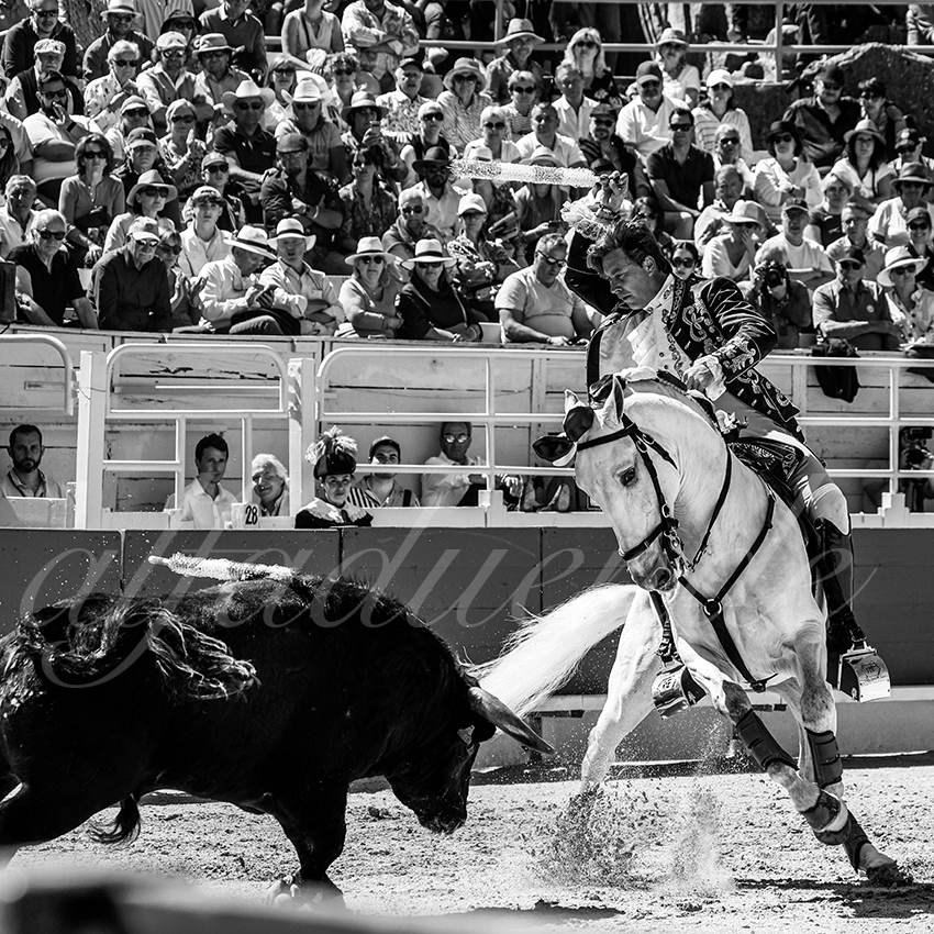 20220418 arles rejoneo 002