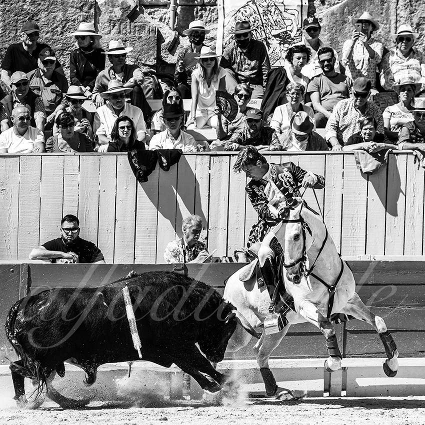 20220418 arles rejoneo 003