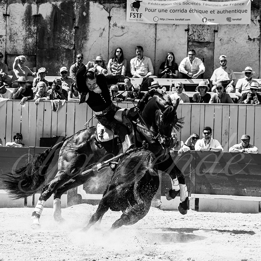 20220418 arles rejoneo 004