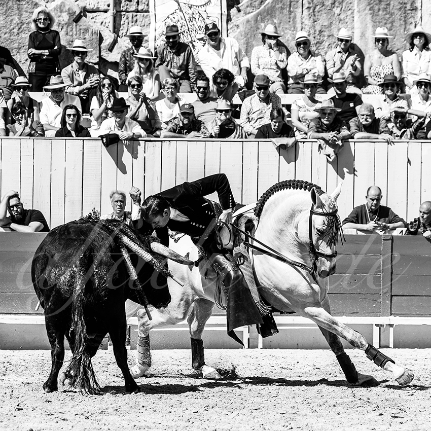 20220418 arles rejoneo 007