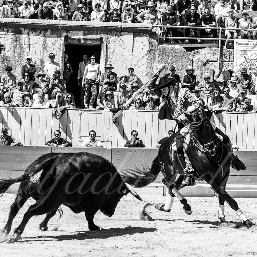 20220418 arles rejoneo 008