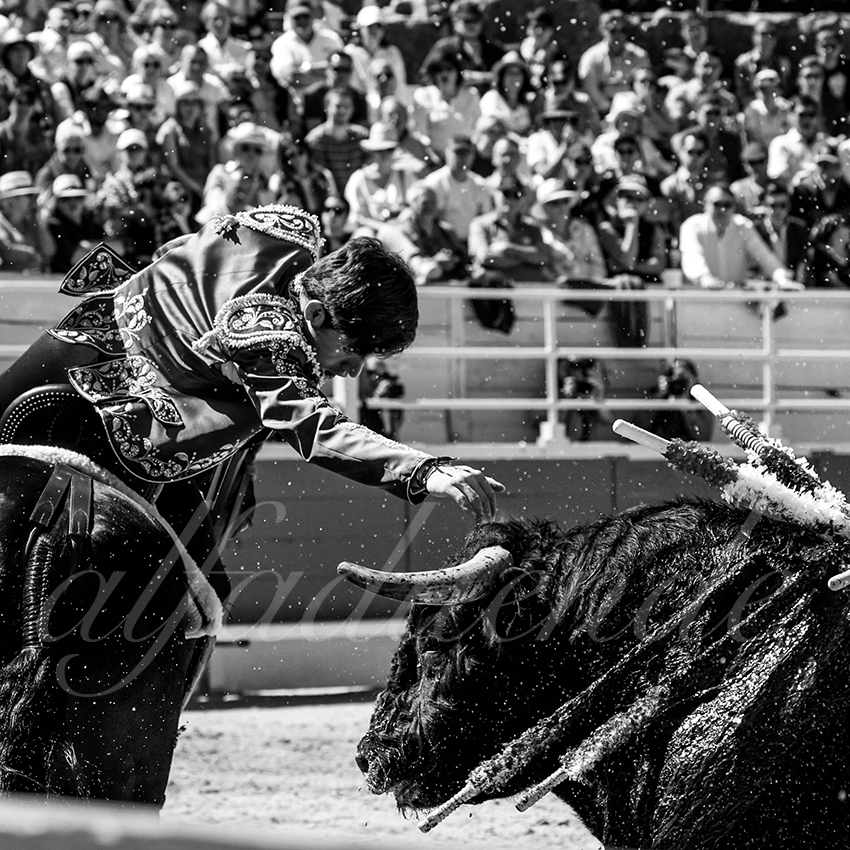 20220418 arles rejoneo 010