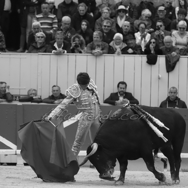 Img 1890 jpg20190421 arles