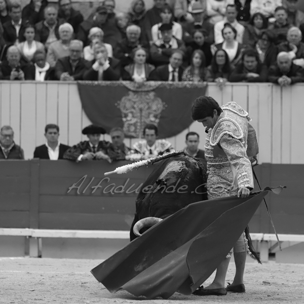 Img 2023 jpg20190421 arles