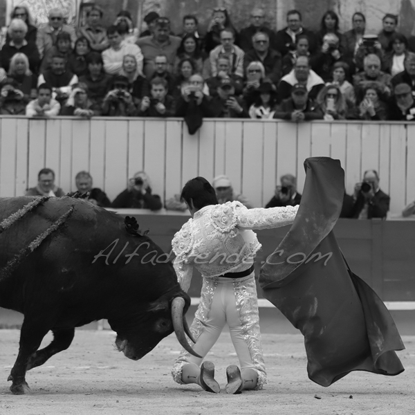 Img 2126 jpg20190421 arles