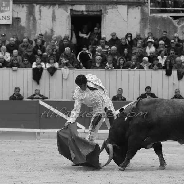 Img 2179 jpg20190421 arles