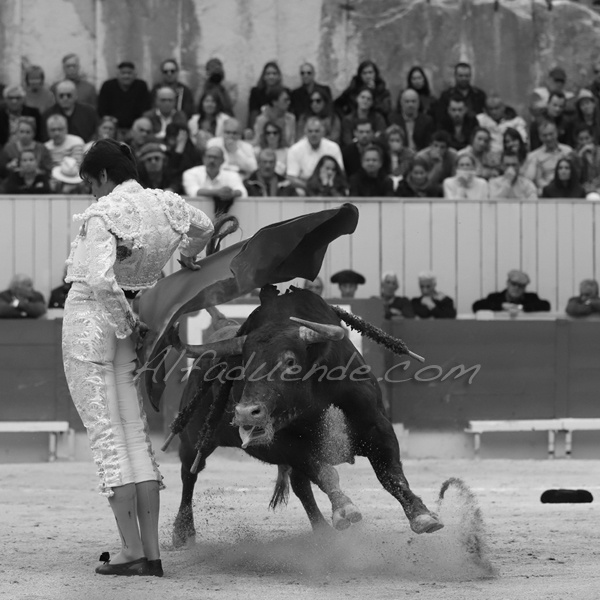 Img 2206 jpg20190421 arles