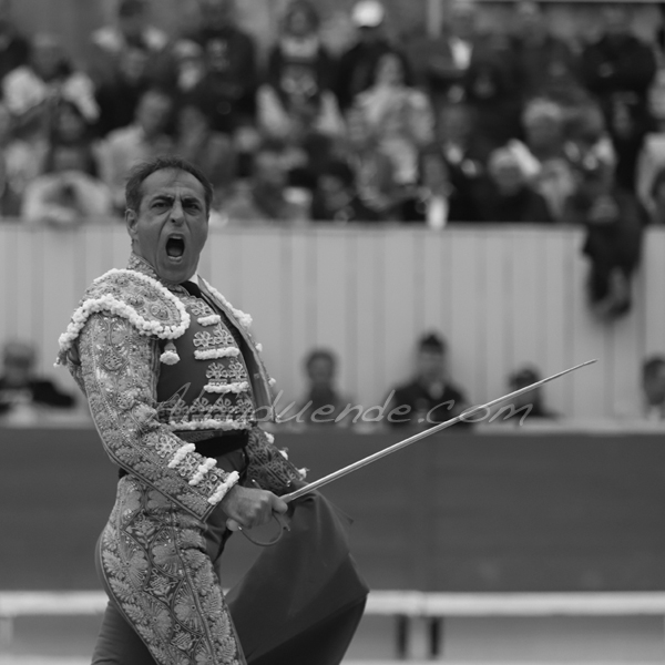 Img 2307 jpg20190421 arles