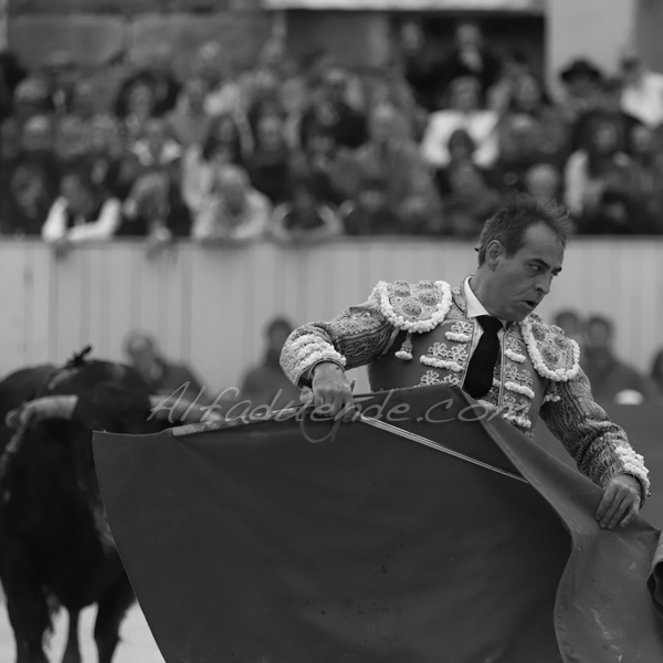 Img 2423 jpg20190421 arles