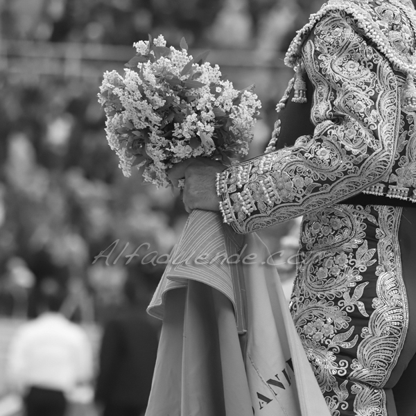 Img 2505 jpg20190421 arles