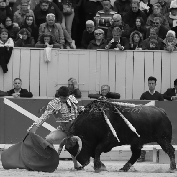 Img 2561 jpg20190421 arles