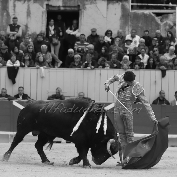 Img 2570 jpg20190421 arles