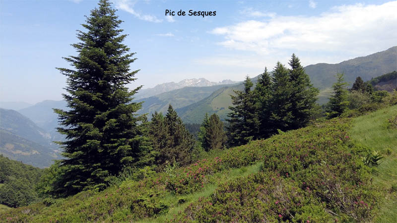 Img9868