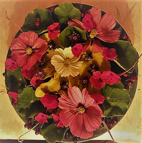 Mandala nature retouche
