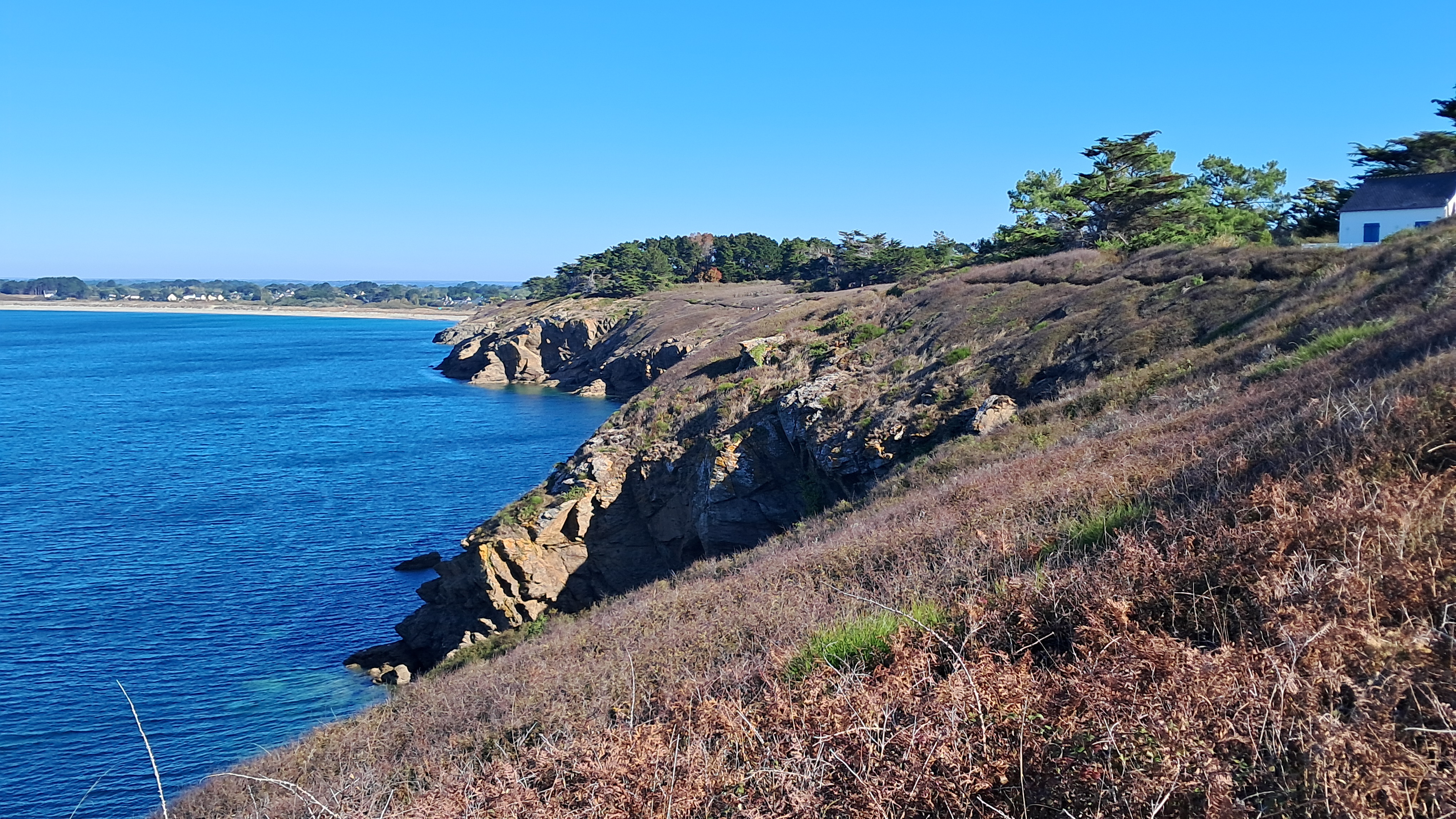 20261004 113929
