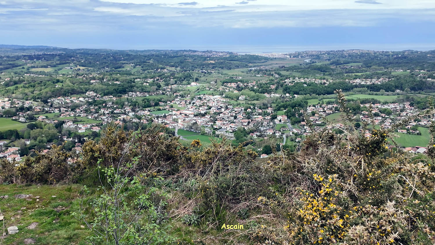 A31
