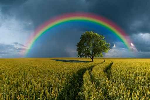 Arc-en-ciel