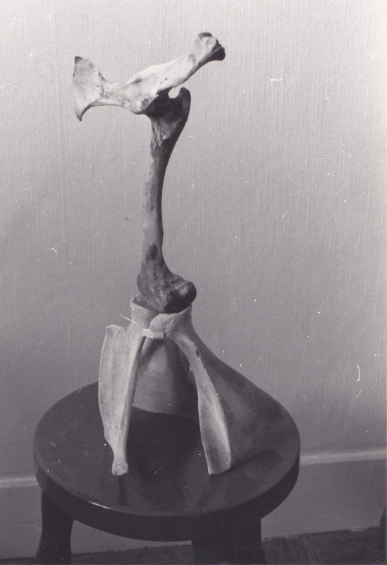 Relief de crocs 549x800 