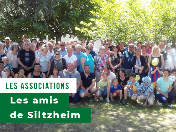 Vignette-les-amis-de-stilhzeim