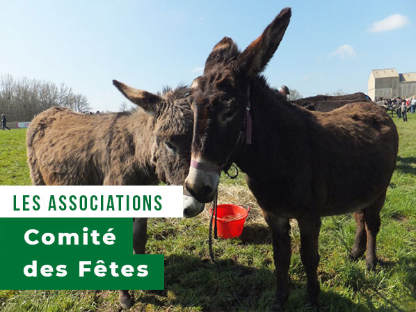 Vignette-comitefetes