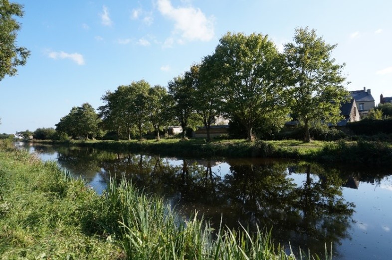 Poésies 2019-2020