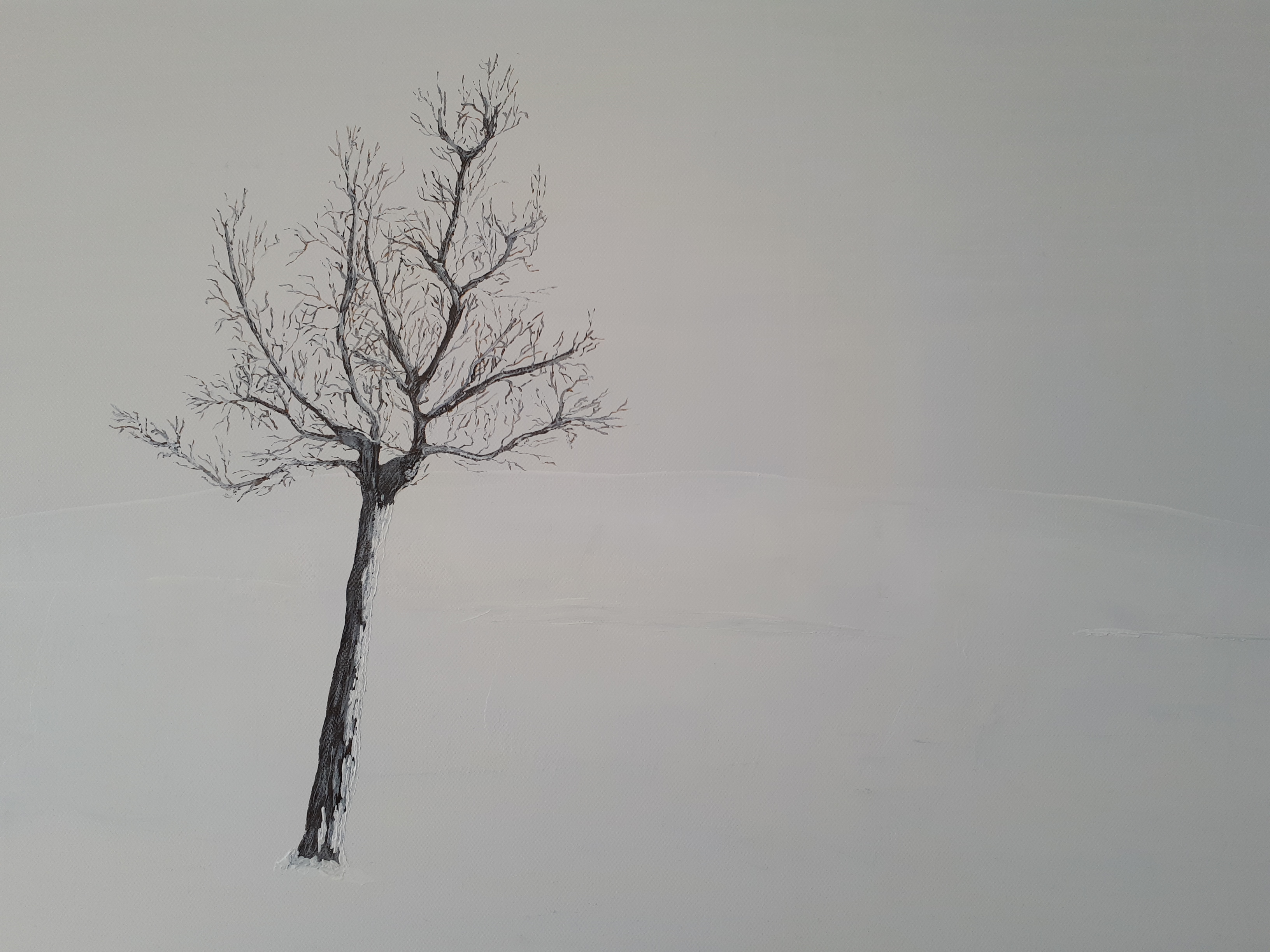 Lone 2 