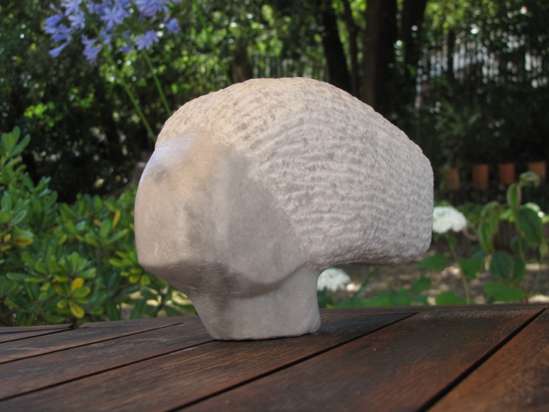 Attendre la caresse du Zephyr 4 800x600 